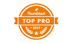 top-pro-badge-150.png